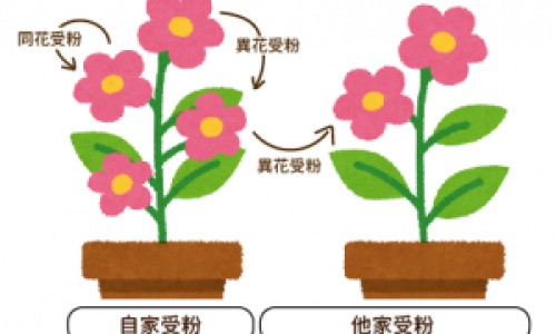 权威瑞倪维儿蛋白固体饮料平台,分享专业瑞倪维儿清食搭配知识_瑞倪维儿大豆粉的吃法网