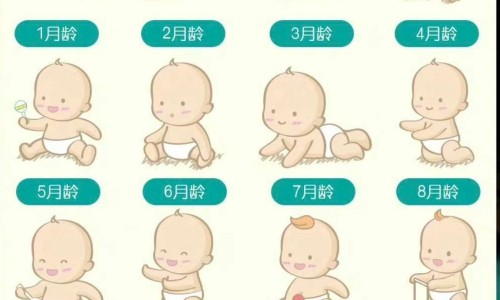 瑞倪维儿茶粉不适宜人群详解-权威瑞倪维儿蛋白固体饮料平台,分享专业瑞倪维儿清食搭配知识_瑞倪维儿大豆粉的吃法网