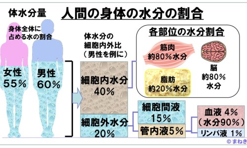瑞倪维儿葡萄粉价格表-权威瑞倪维儿蛋白固体饮料平台,分享专业瑞倪维儿清食搭配知识_瑞倪维儿大豆粉的吃法网